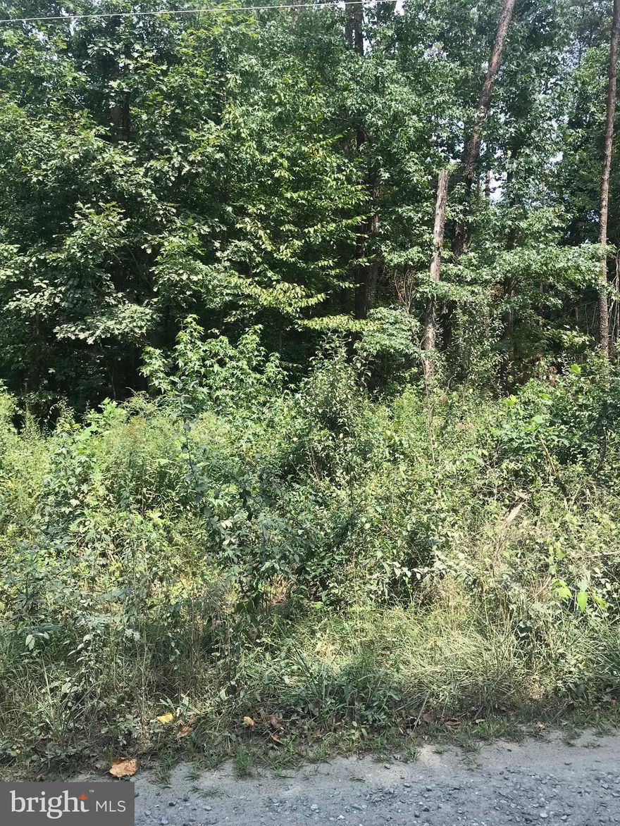 Beautiful 6.2 acre lot conveniently located near Route 17. Documents have both lot information and Plat. Call listing agent for more details and before walking property.