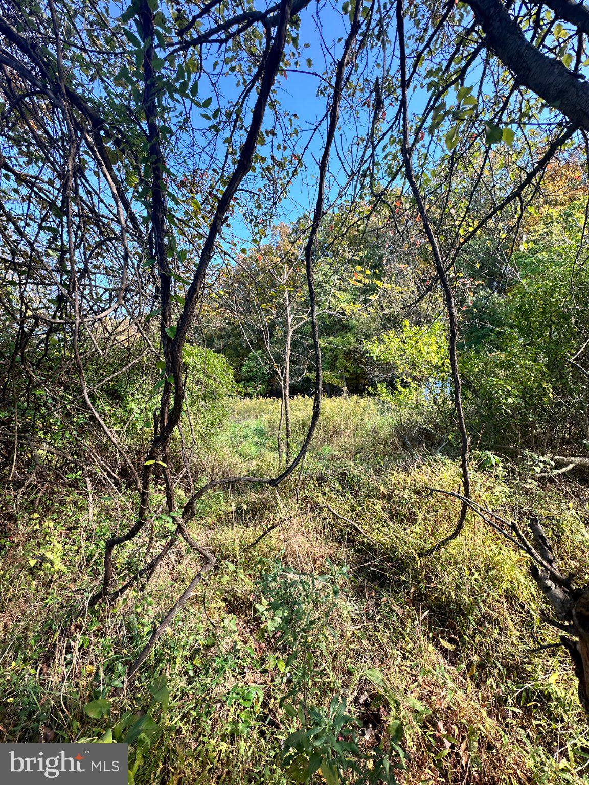 850 GEORGETOWN ROAD