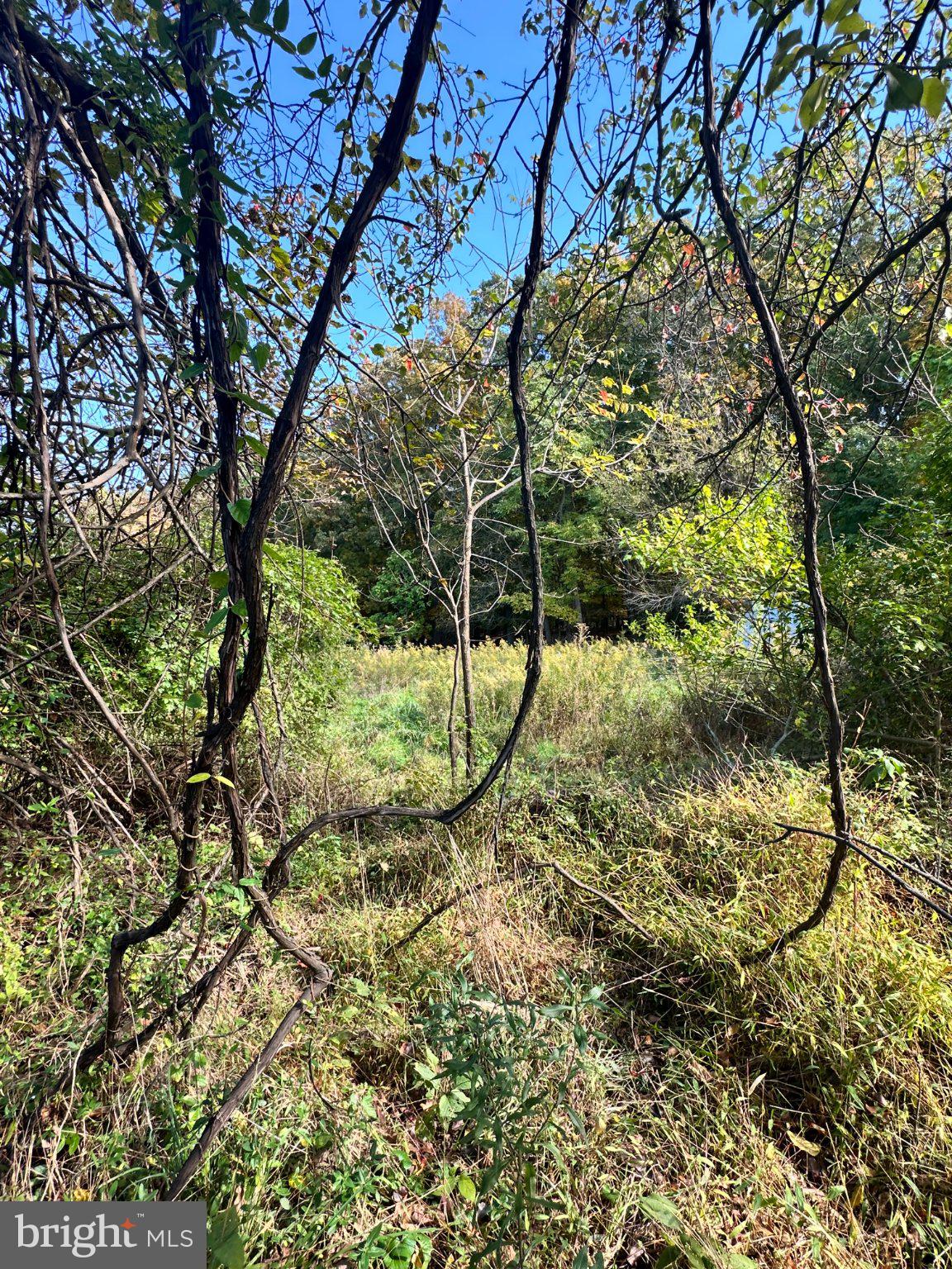 850 GEORGETOWN ROAD