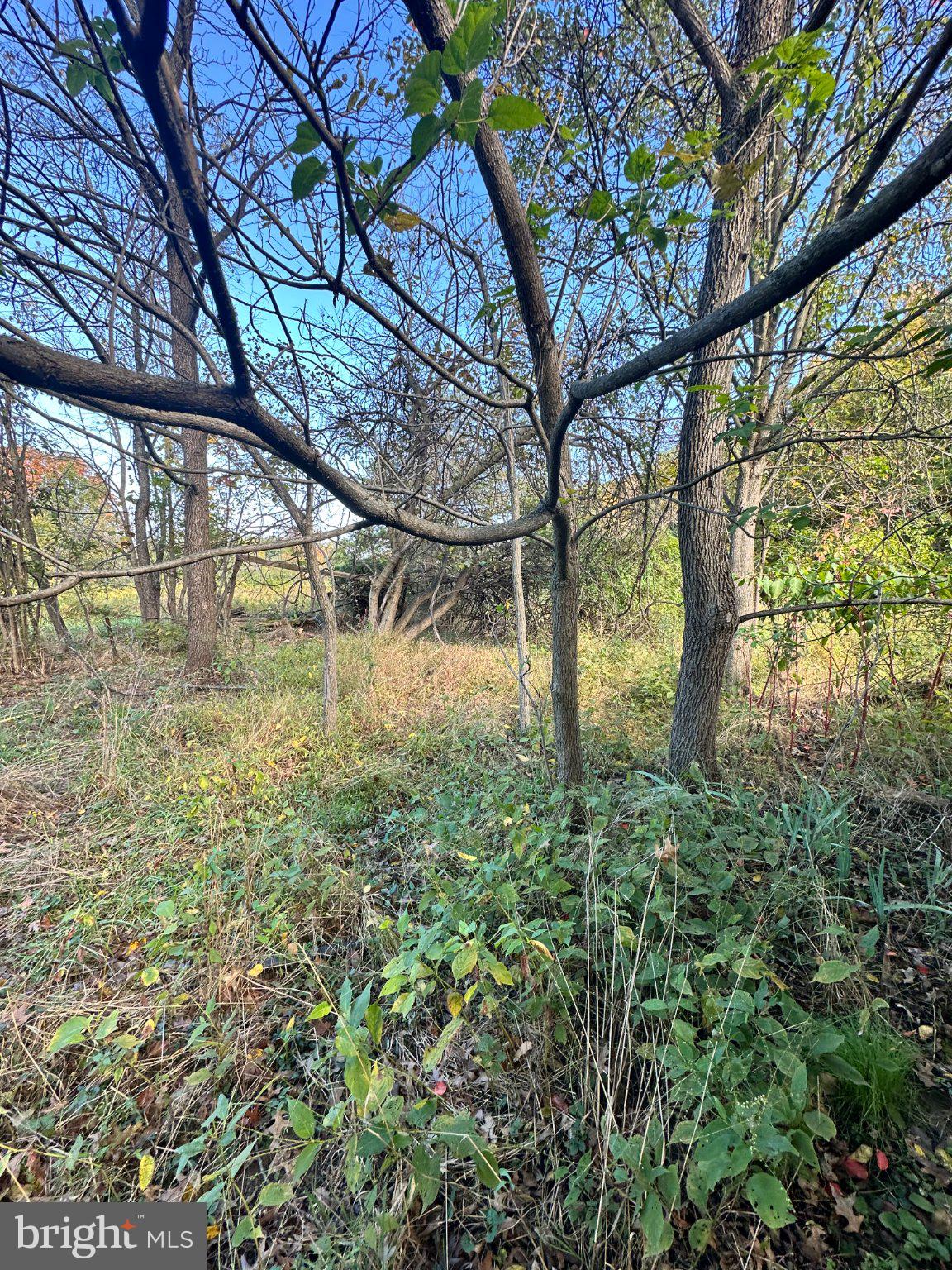 850 GEORGETOWN ROAD