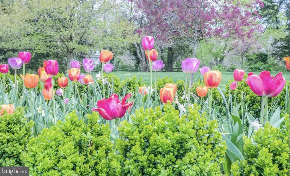 FREDERICKSBURG CITY - Residential