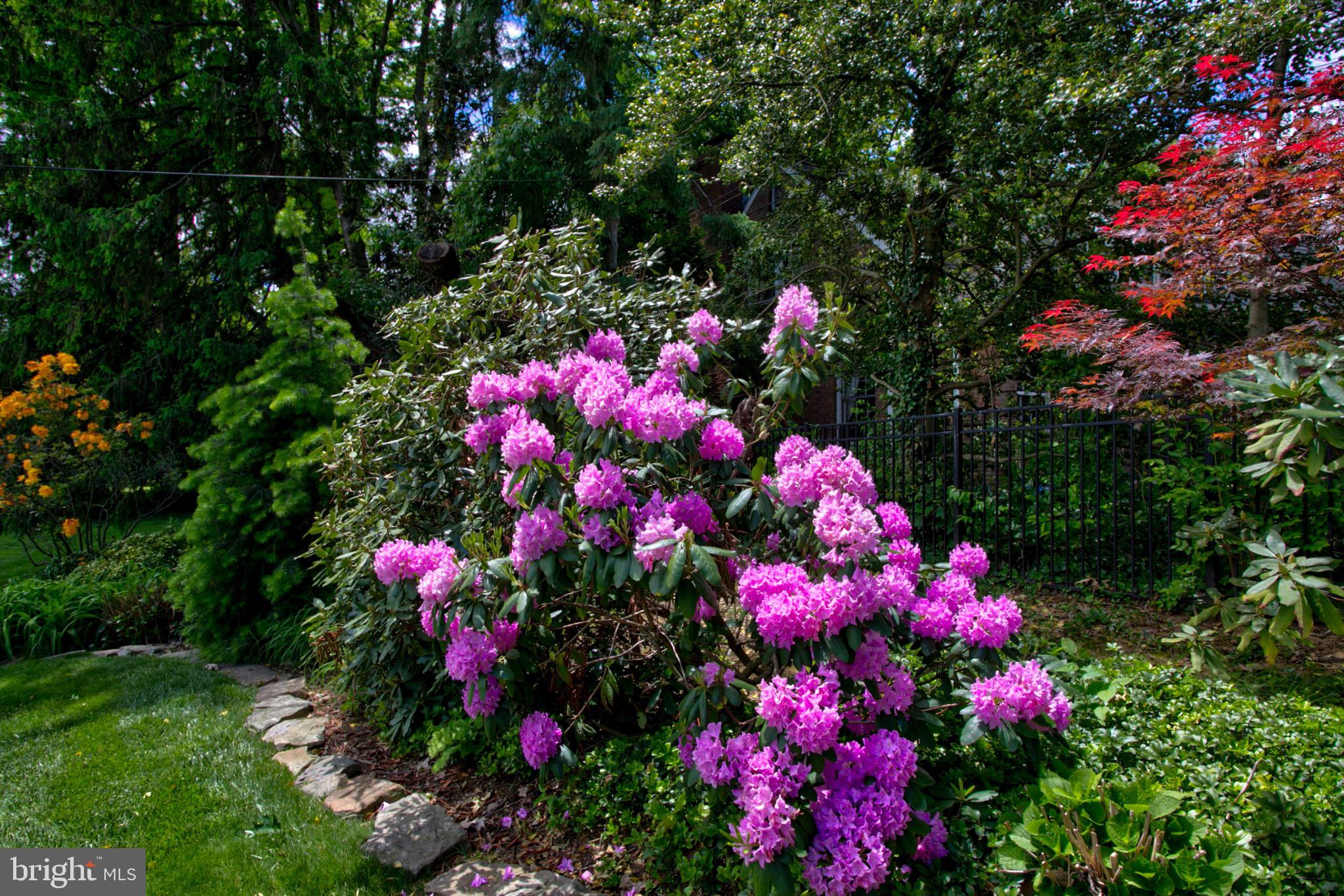 COUNTRY CLUB HEIGHTS - Residential