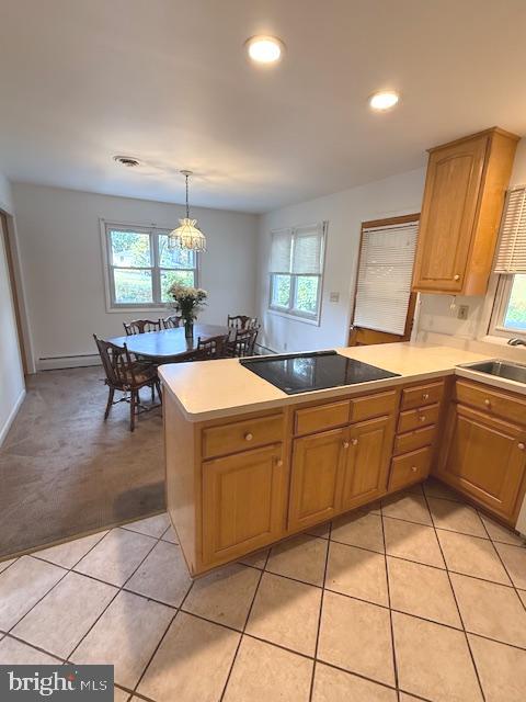 ROCK CREEK PARK - Residential