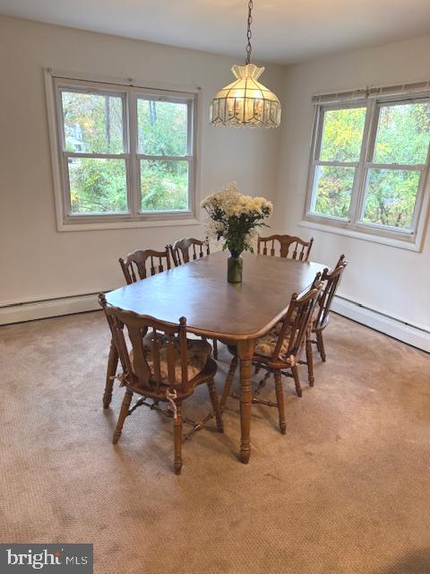 ROCK CREEK PARK - Residential