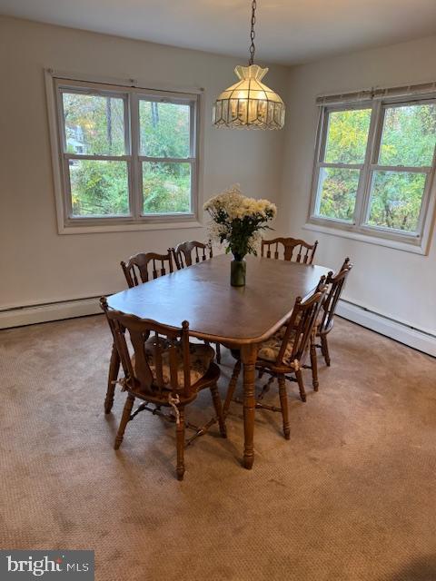 ROCK CREEK PARK - Residential