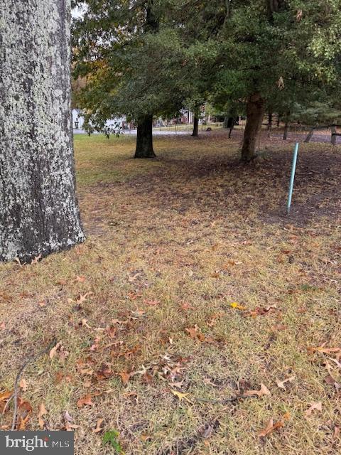 ROCK CREEK PARK - Residential