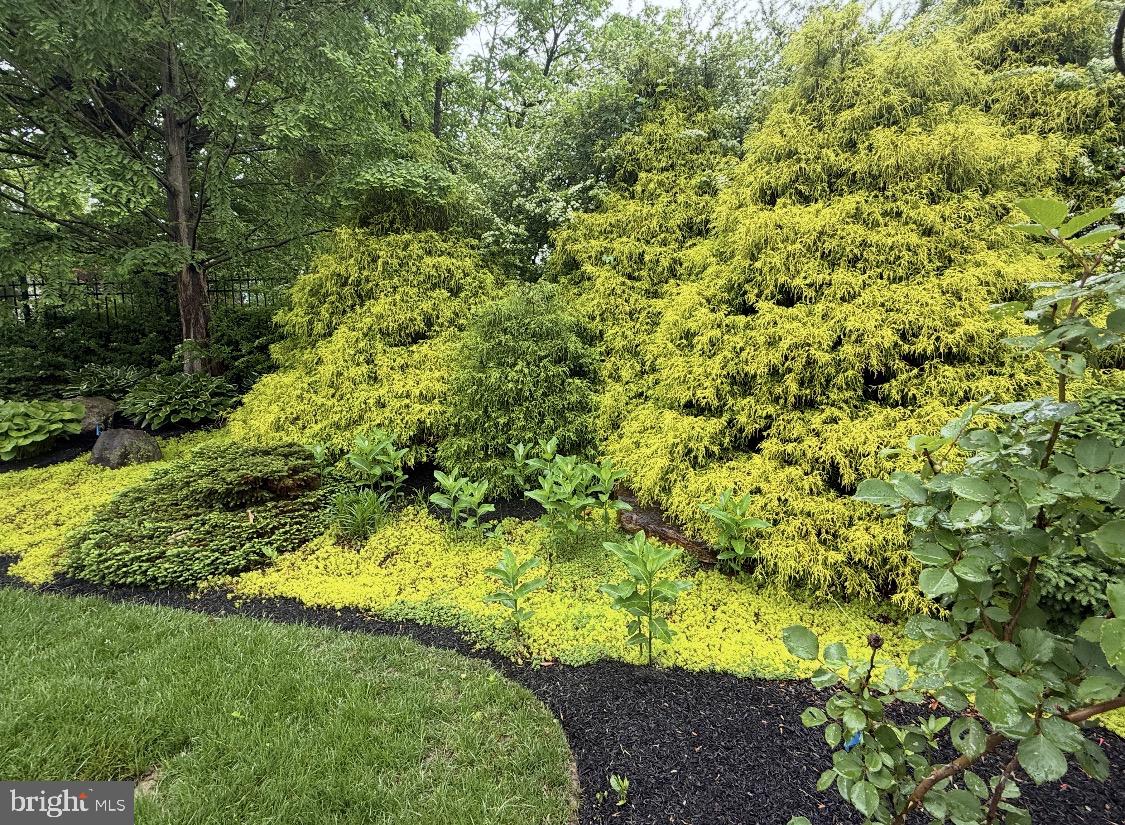 INDIAN SPRINGS - Residential