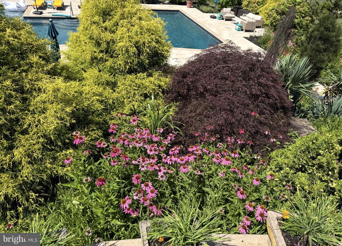 INDIAN SPRINGS - Residential