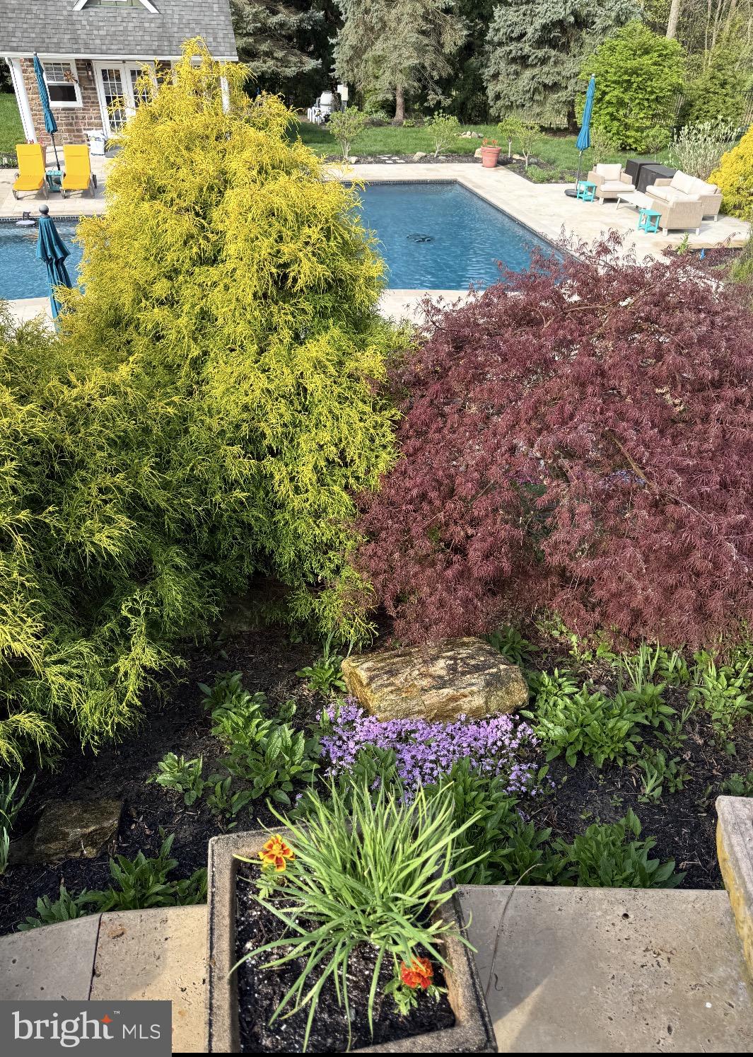 INDIAN SPRINGS - Residential