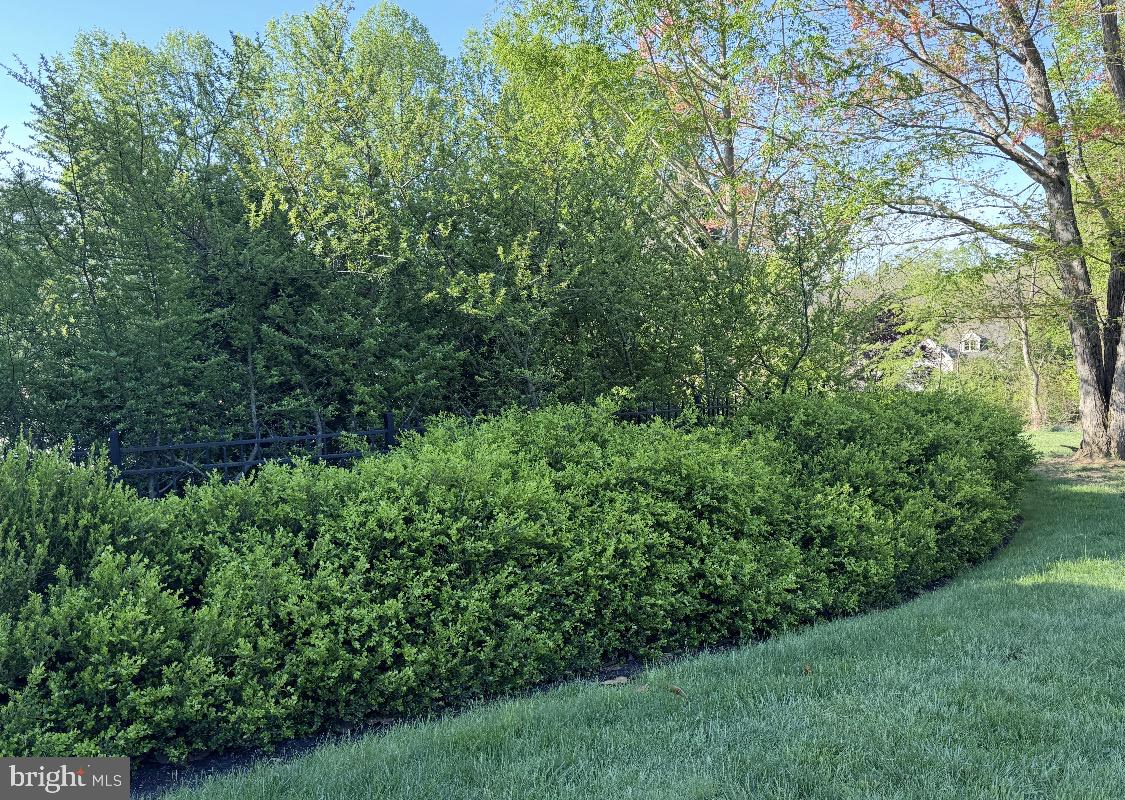INDIAN SPRINGS - Residential