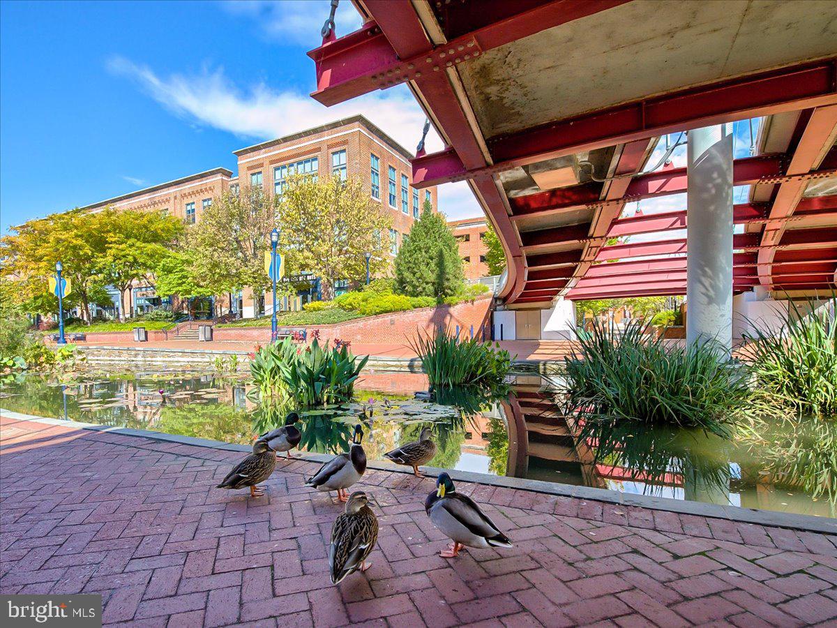 DOWNTOWN - Residential