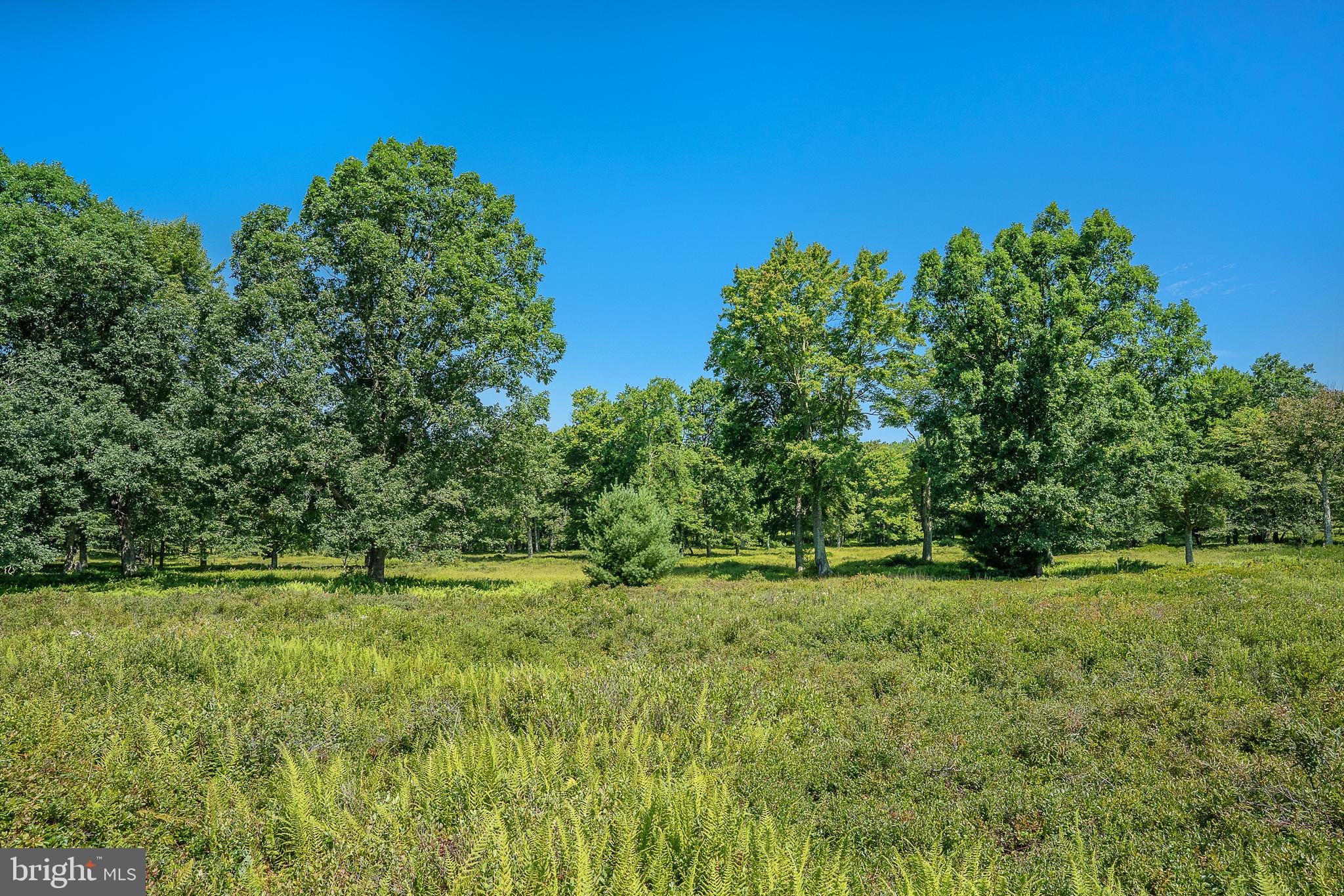 614 GRAYSTONES JERAS RD LOT H-16