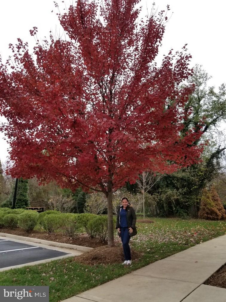 LEE SQUARE - Residential