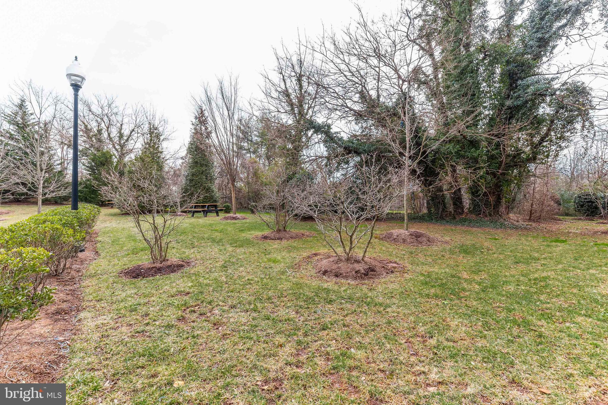 LEE SQUARE - Residential