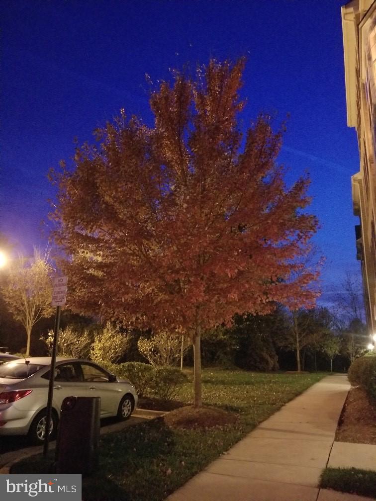 LEE SQUARE - Residential