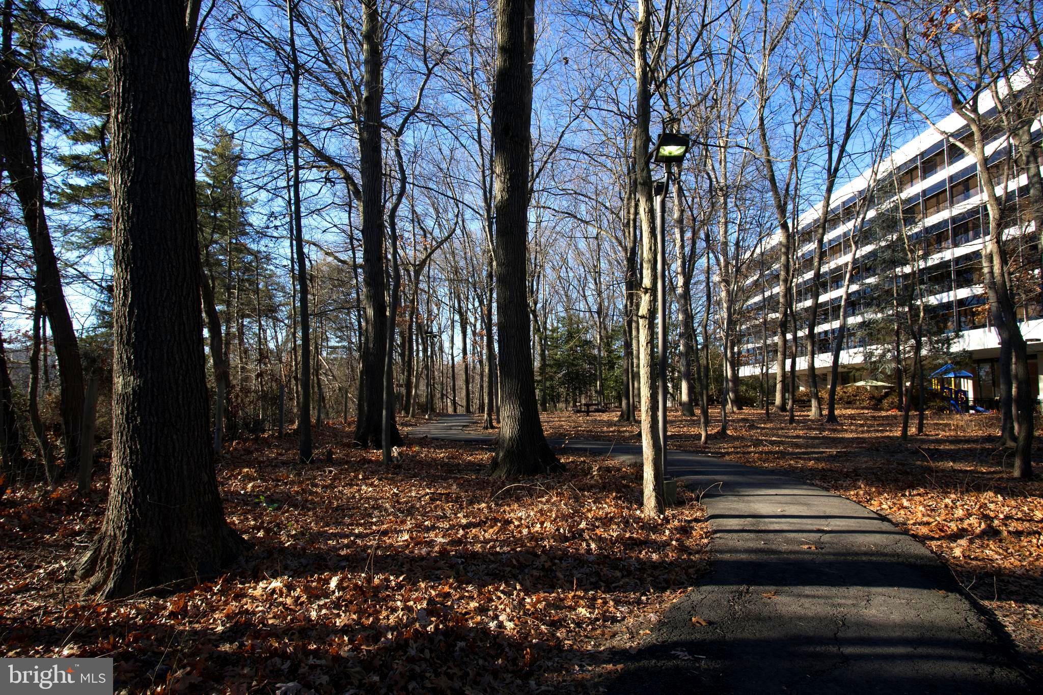 HIGH POINTE AT JEFFERSON PARK - Residential