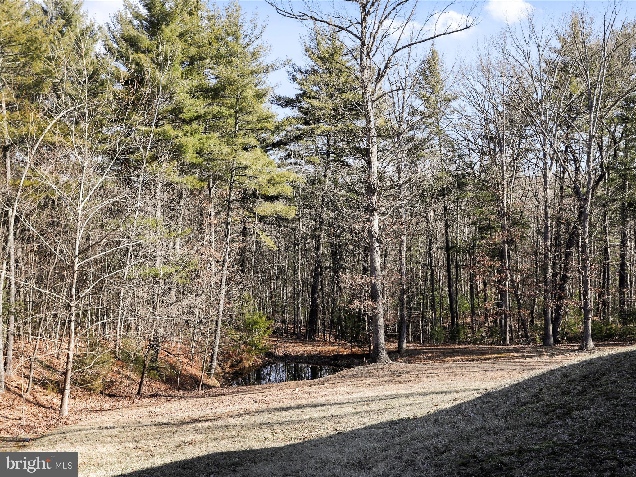 LAKE FERNDALE - Residential