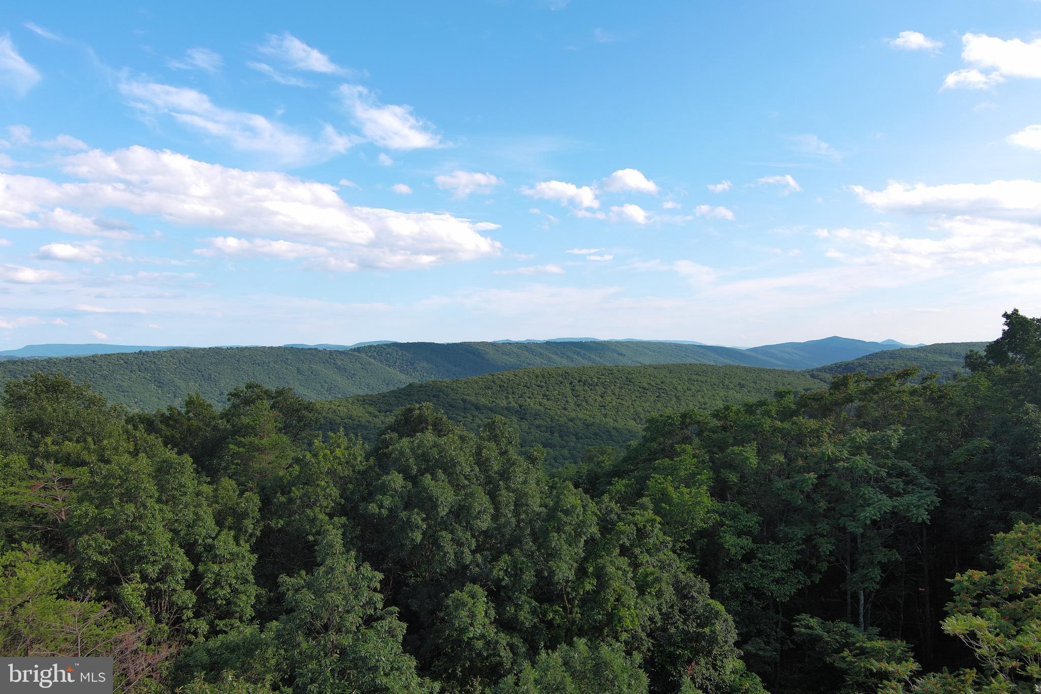 BLUFFS ON THE POTOMAC - Land