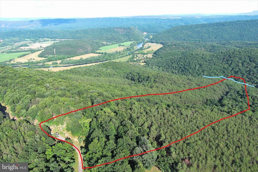 30 ACRES FOR THE PRICE OF 20......30 WOODED ACRES ELEVATED AT 1450 FT WITH JAW DROPPING PANORAMIC VIEWS OF SOUTHERN MOUNTAIN RANGES AND SOUTH BRANCH RIVER VALLEY. EASY RIDGE TOP BUILDING SITE AMONGST MASSIVE HARDWOODS......LAND SLOPES OFF THE MOUNTAIN TO A SEASONAL STREAM AT THE BOTTOM, WITH A LITTLE DOZER WORK...YOU CAN HAVE AN ATV TRAIL ALL THE WAY TO THE BOTTOM. LOCATED IN THE PRESTIGIOUS 6000 ACRE GATED COMMUNITY OF "THE BLUFFS ON THE POTOMAC".....THE BLUFFS IS KNOWN FOR IT'S ABUNDANCE OF BIG BUCKS, BEAR & TURKEY. AS AN ADDED BONUS, THE COMMUNITY HAS IT'S OWN PRIVATE COMMON AREA ON THE SOUTH BRANCH OF THE POTOMAC RIVER FOR CANOE, KAYAK, TUBES, FISH & SWIM......A PRIVATE PARK ON THE RIVER FOR YOUR SUMMERTIME ENJOYMENT. A 4 SEASON OUTDOOR PARADISE.....IF YOU LOVE THE OUTDOORS....YOU'LL NEVER GET BORED.....SIMPLY PUT, THIS IS A PREMIUM LOT FOR THOSE WHO DEMAND THE BEST! NOT ALL LOTS ARE CREATED EQUAL AND NOT ALL LOTS ARE WORTHY OF A TROPHY HOME OR CABIN.....THIS ONE IS!