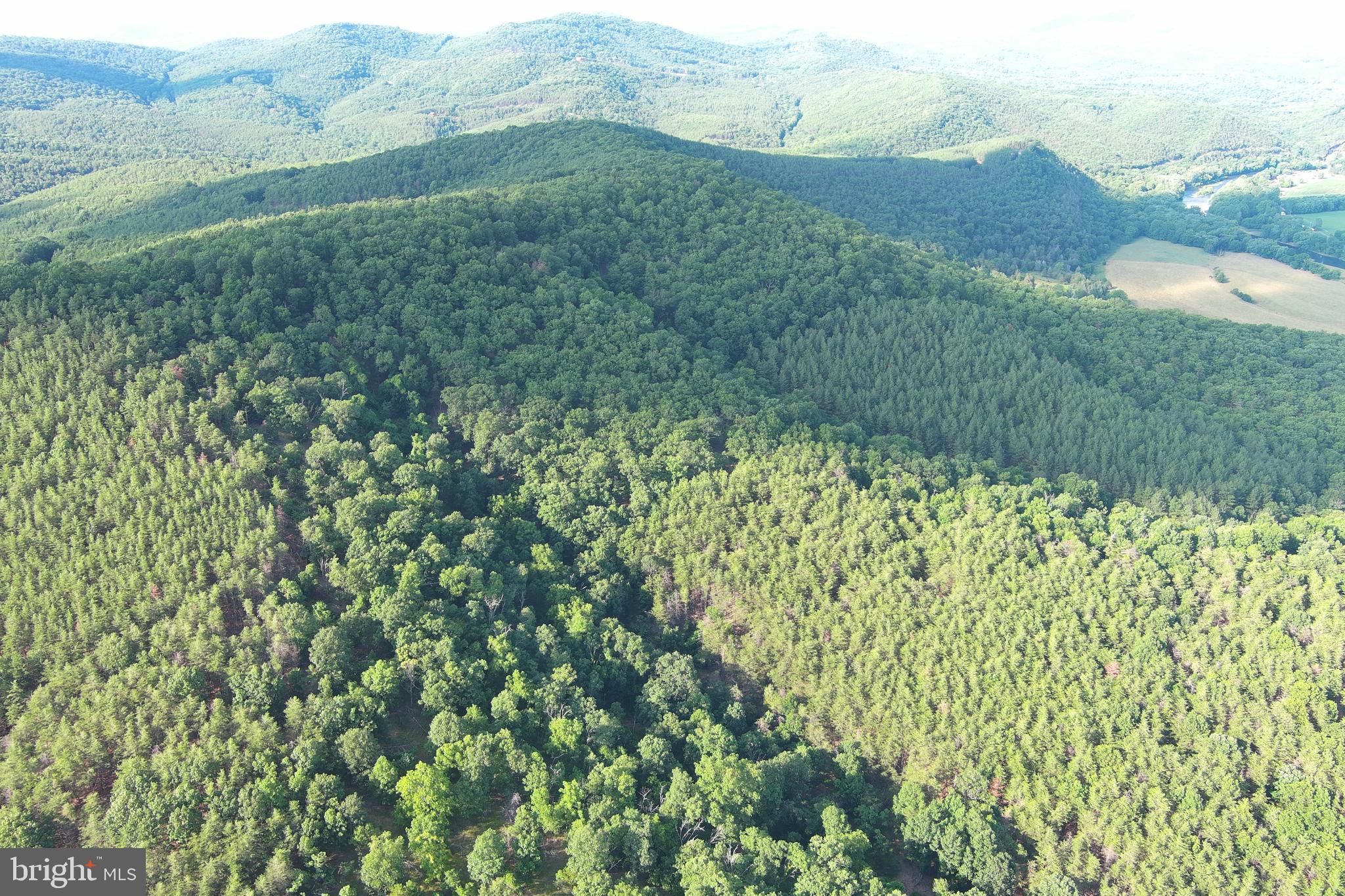 BLUFFS ON THE POTOMAC - Land