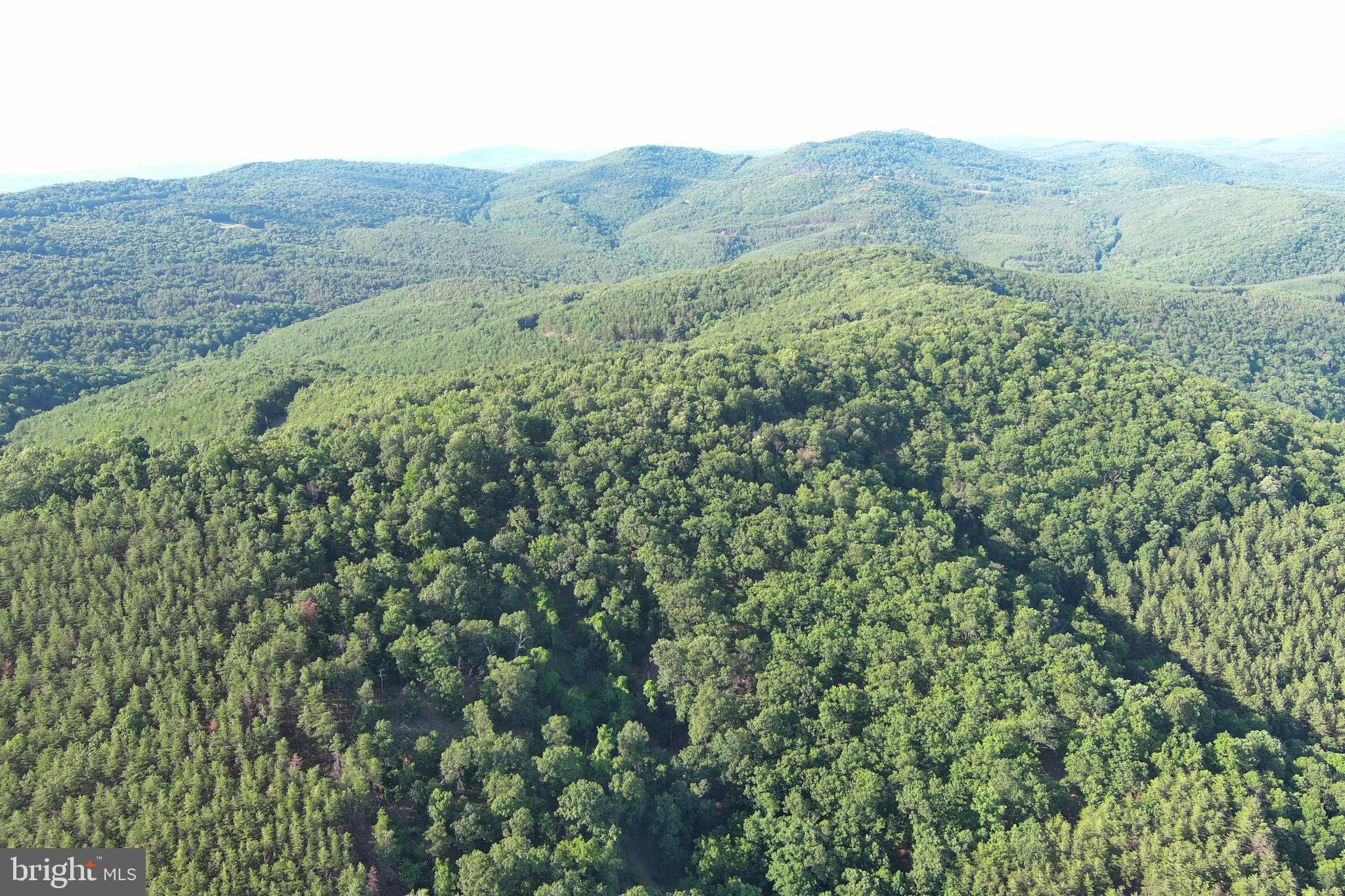 BLUFFS ON THE POTOMAC - Land