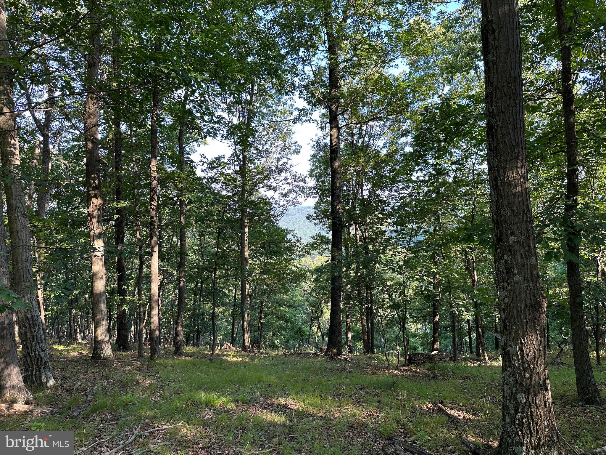 BLUFFS ON THE POTOMAC - Land