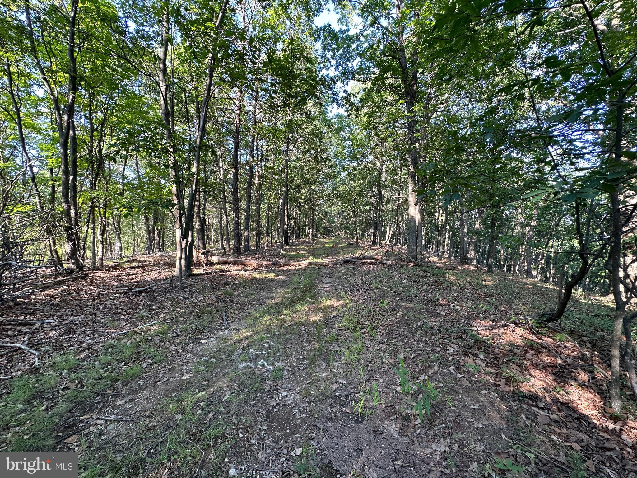 BLUFFS ON THE POTOMAC - Land