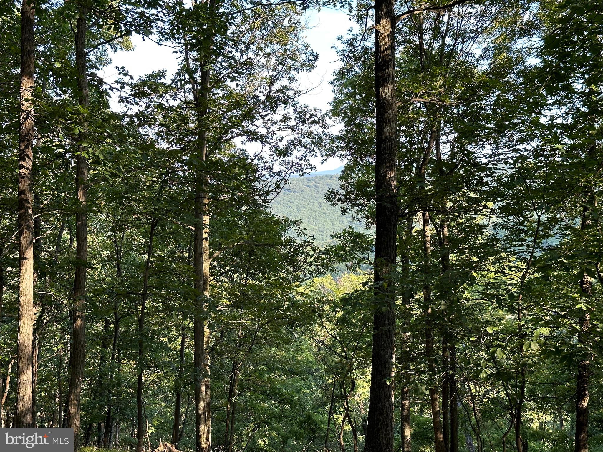 BLUFFS ON THE POTOMAC - Land