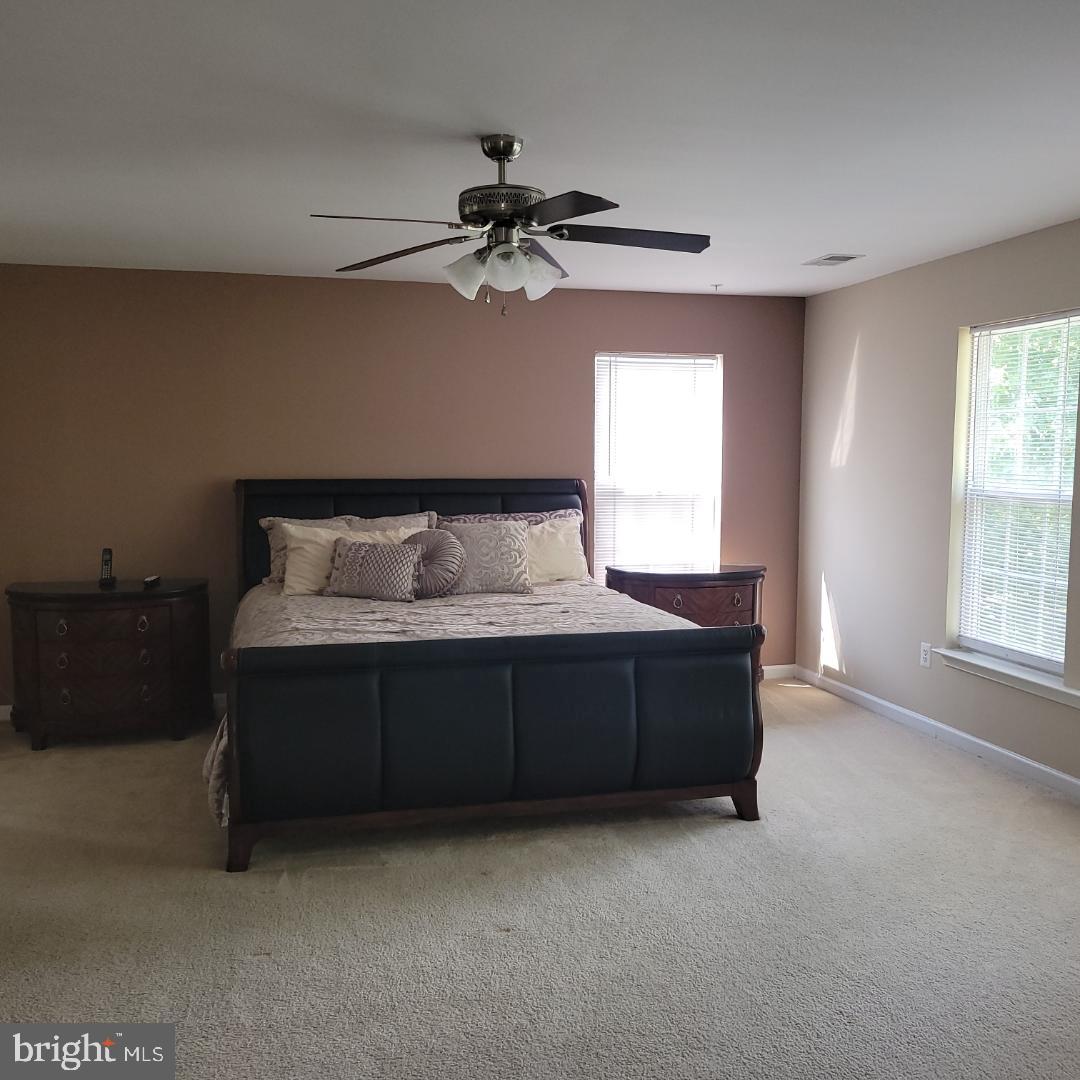 BUCKLERS - Residential