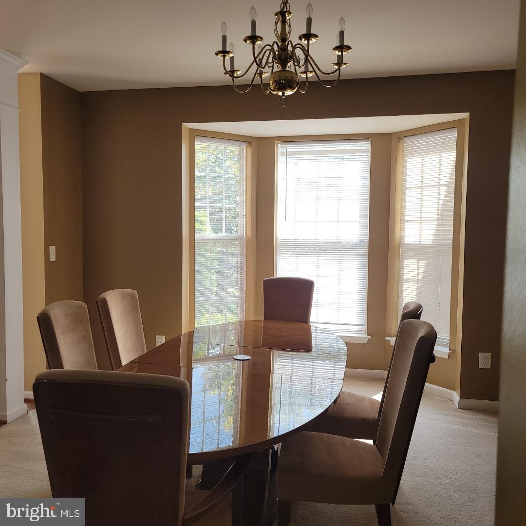 BUCKLERS - Residential