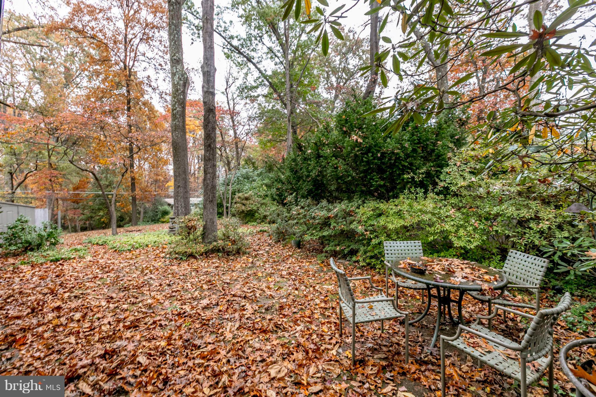 HOLMES RUN ACRES - Residential