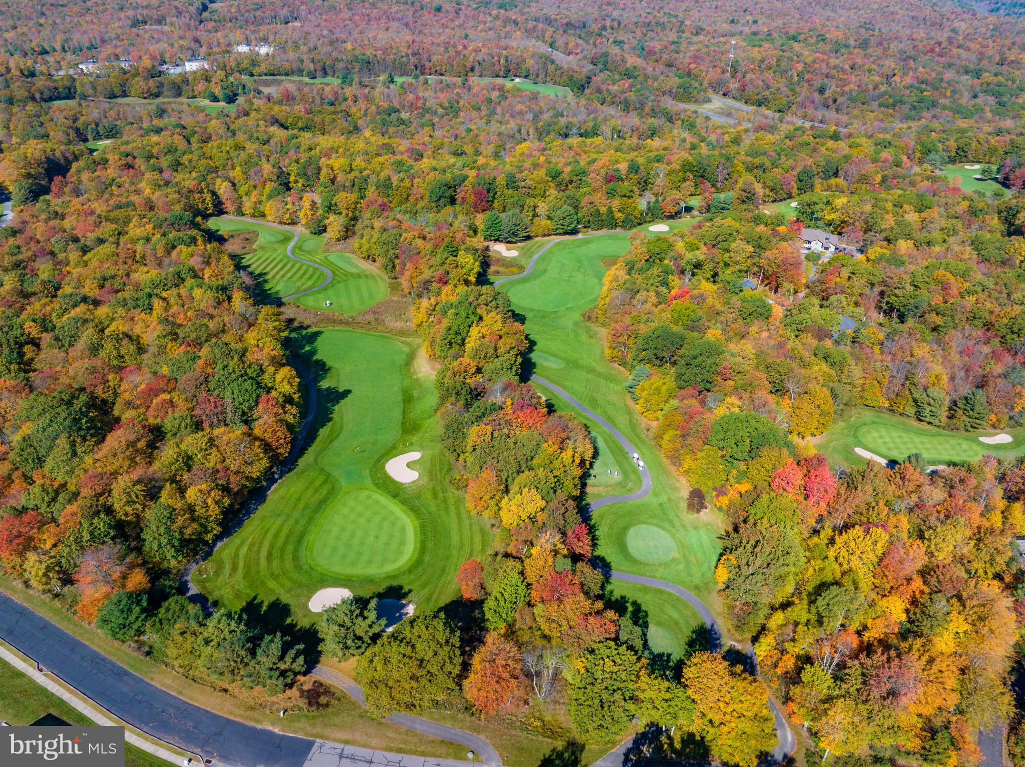 VILLAGE GREENS - Residential