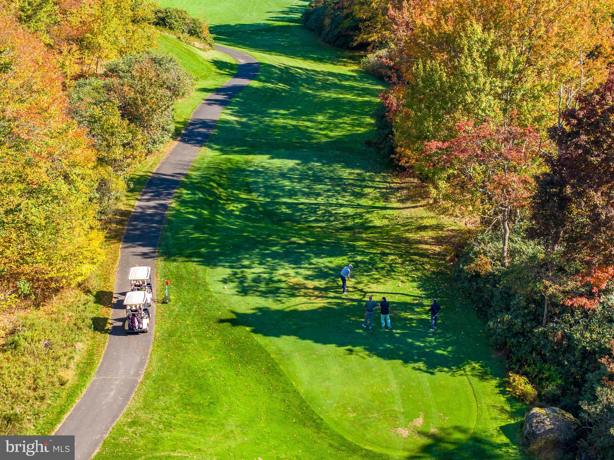 VILLAGE GREENS - Residential