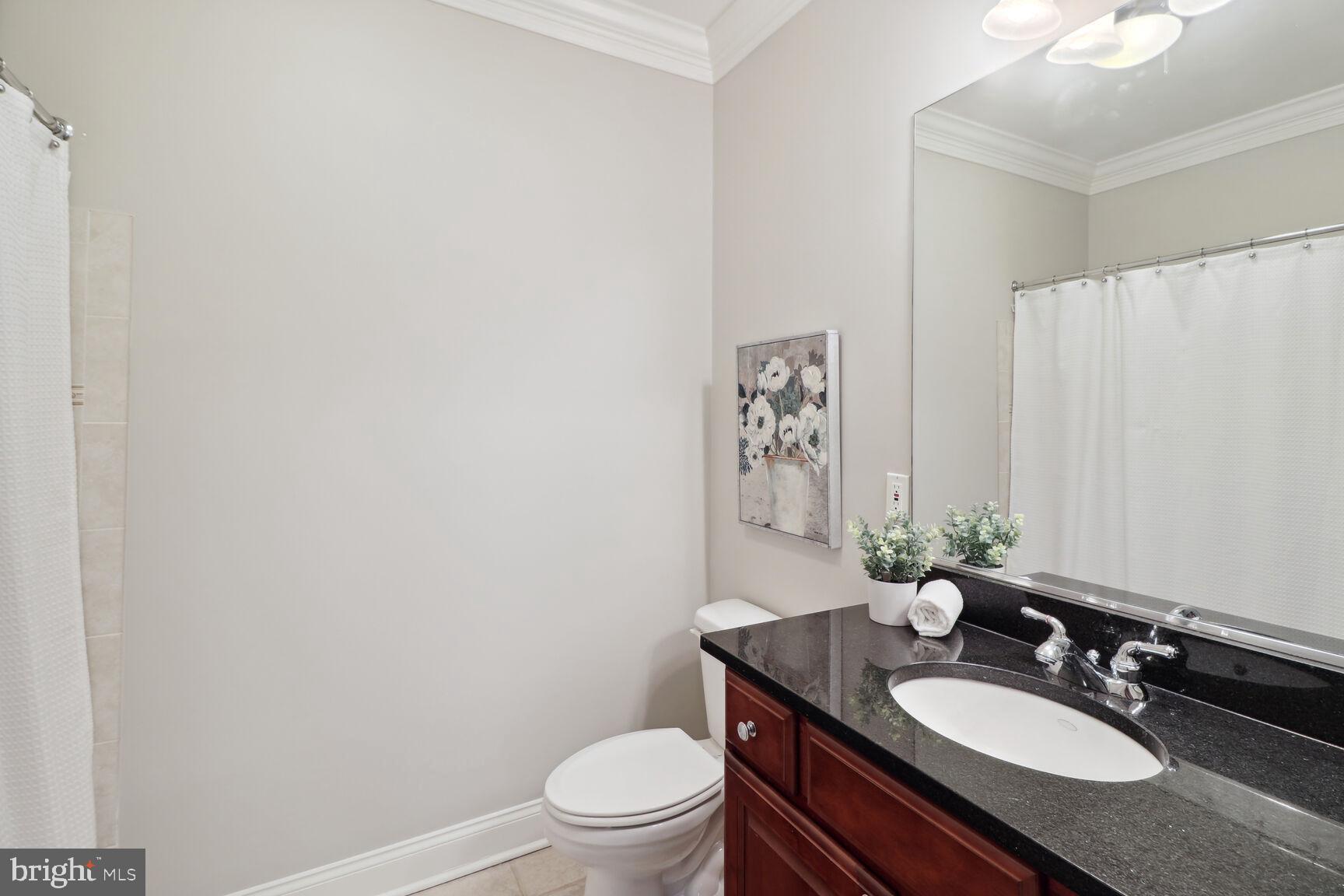 SNOWDEN OVERLOOK - Residential