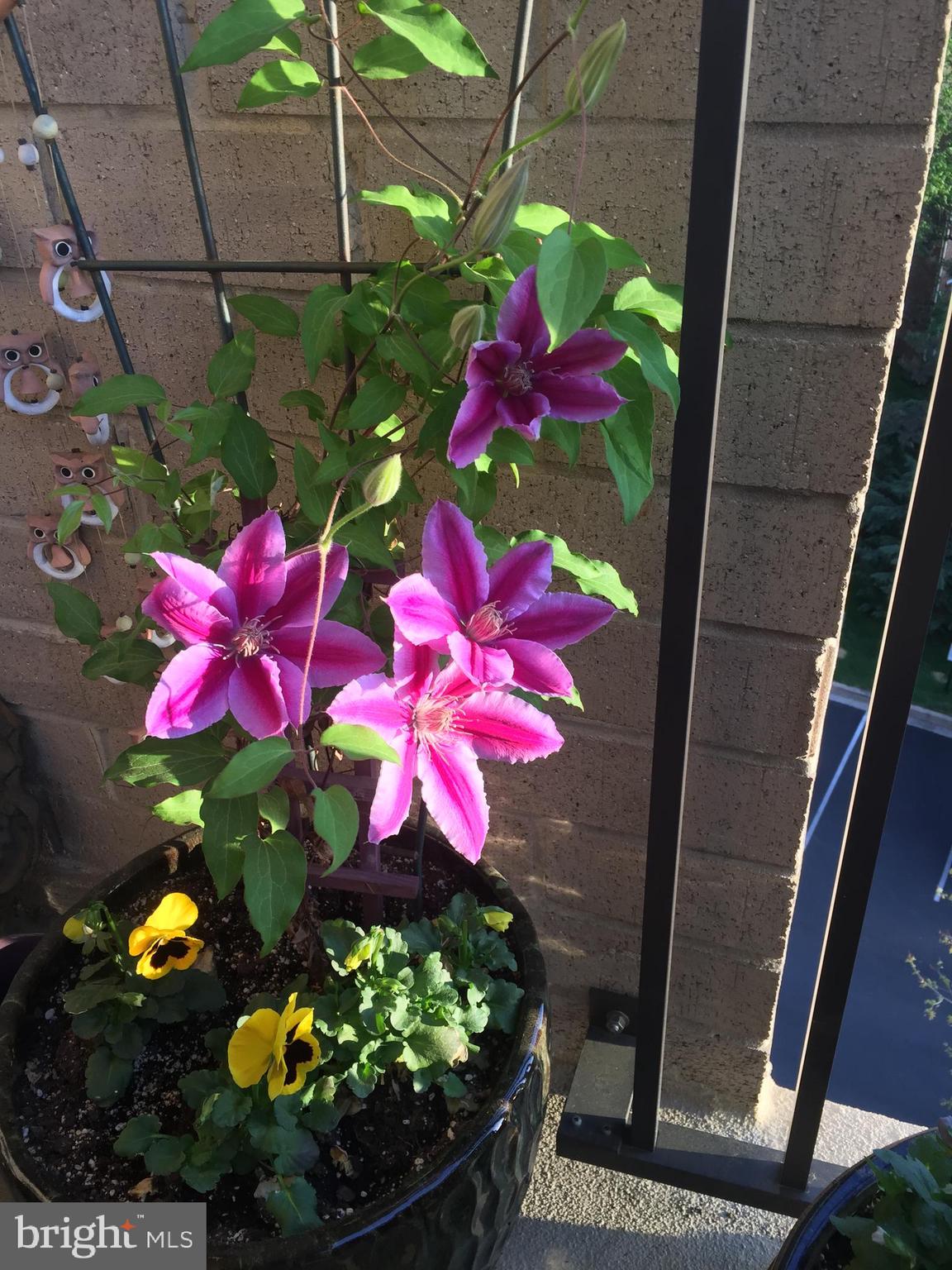 WOODLAKE TOWERS - Residential