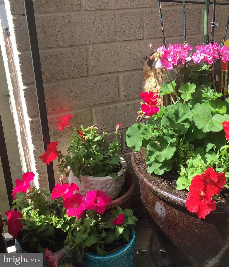 WOODLAKE TOWERS - Residential