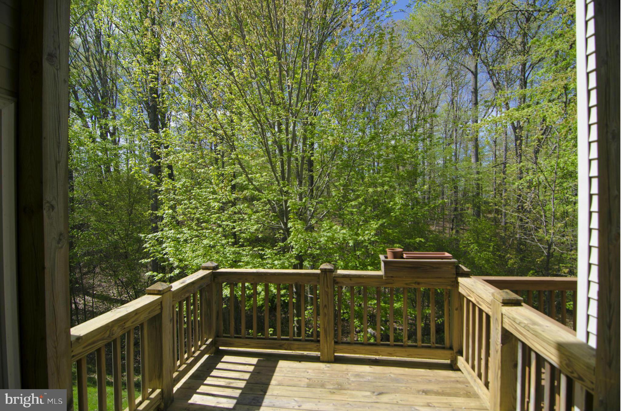 THE FOREST AT SOUTHRUN - Residential