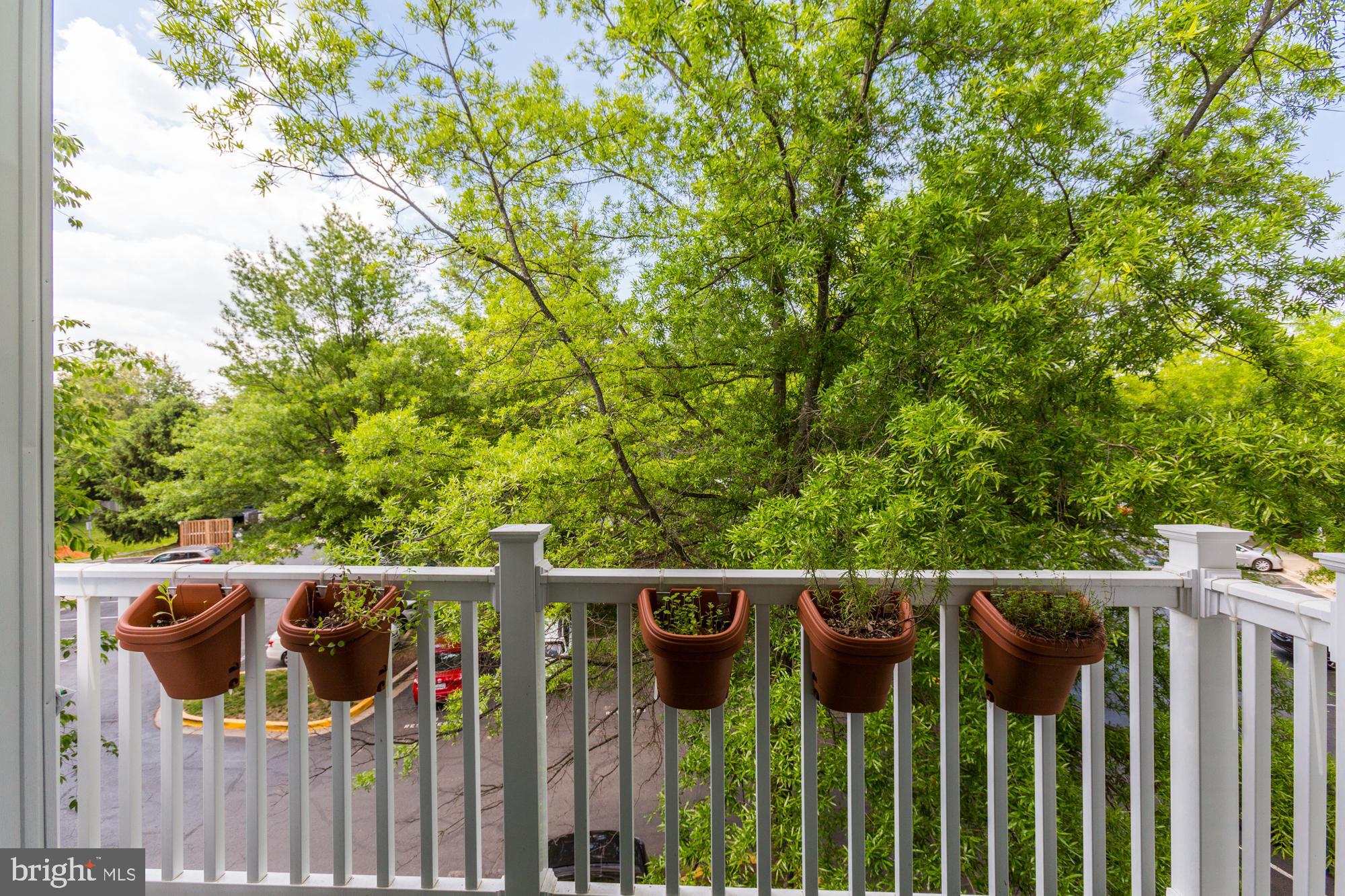 CHURCHILL VIEW - Residential Lease