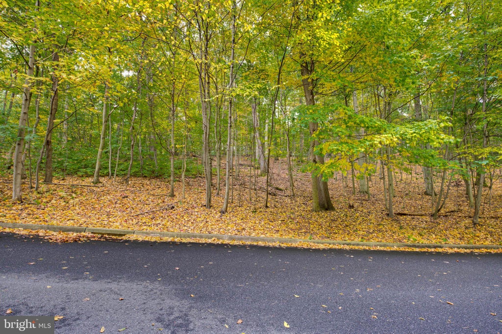 Photo of 58 Buck Run Road, CONESTOGA, PA 17516 (MLS # PALA2097264)