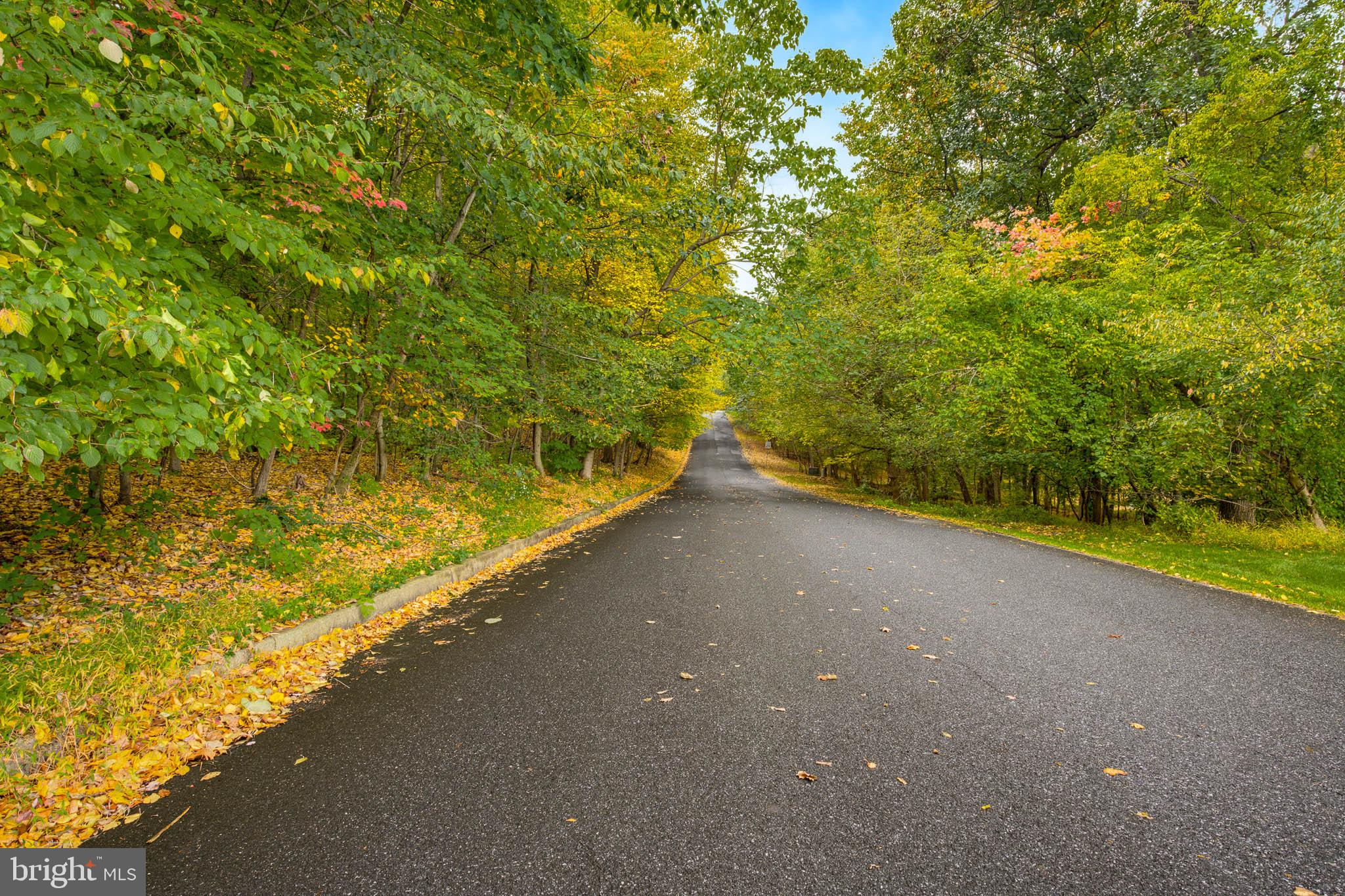 58 BUCK RUN ROAD