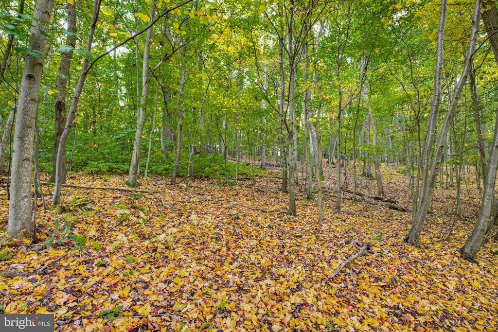 Photo of 58 Buck Run Road, CONESTOGA, PA 17516 (MLS # PALA2097264)