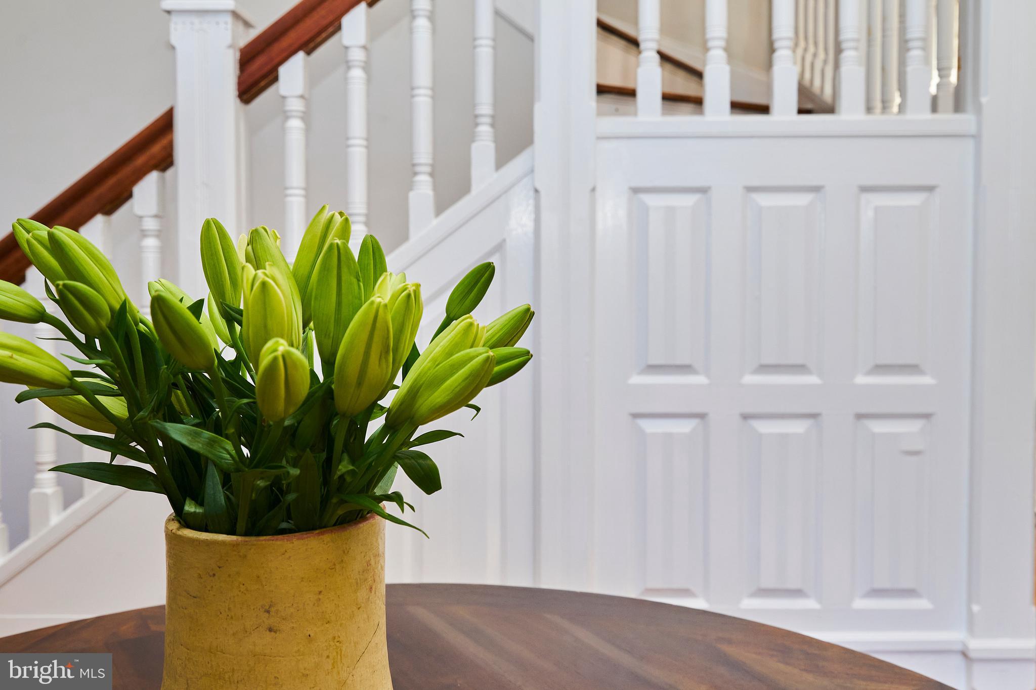 WYNDMOOR - Residential