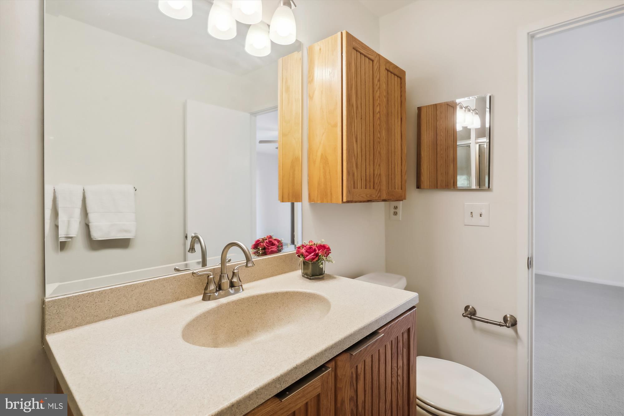 NEW MARK COMMONS - Residential