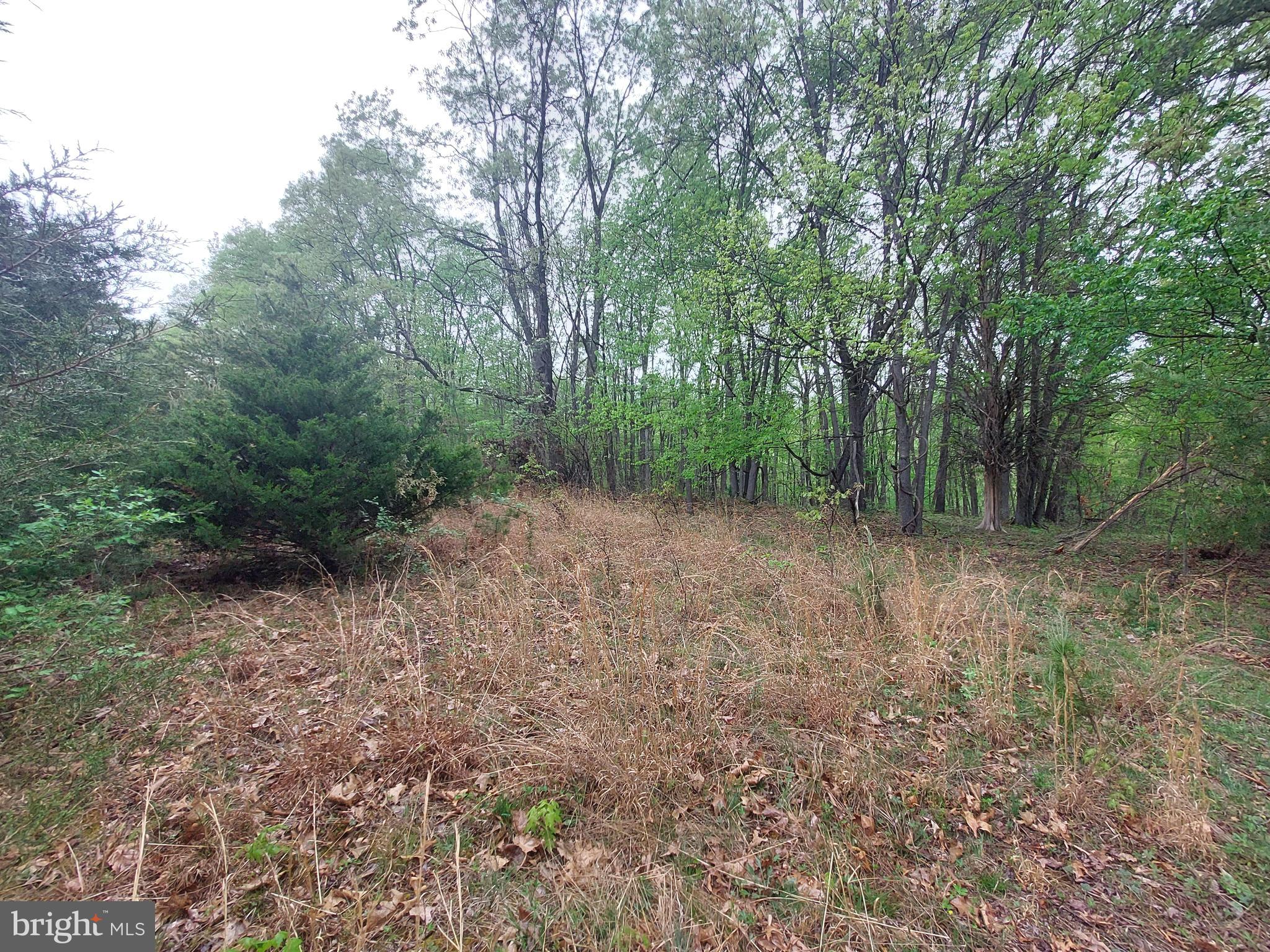 NORTH RIVER HIGHLANDS - Land