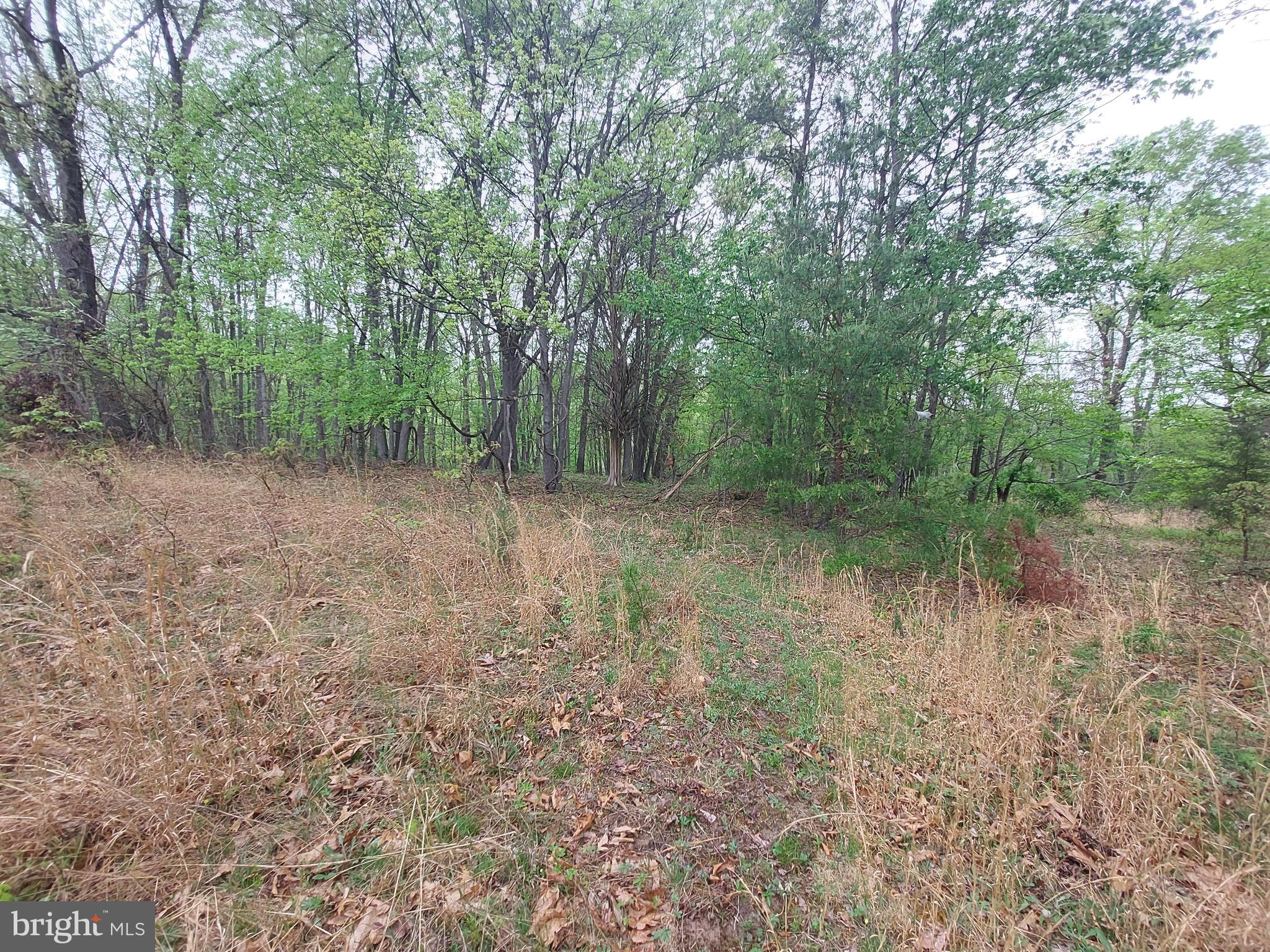 NORTH RIVER HIGHLANDS - Land