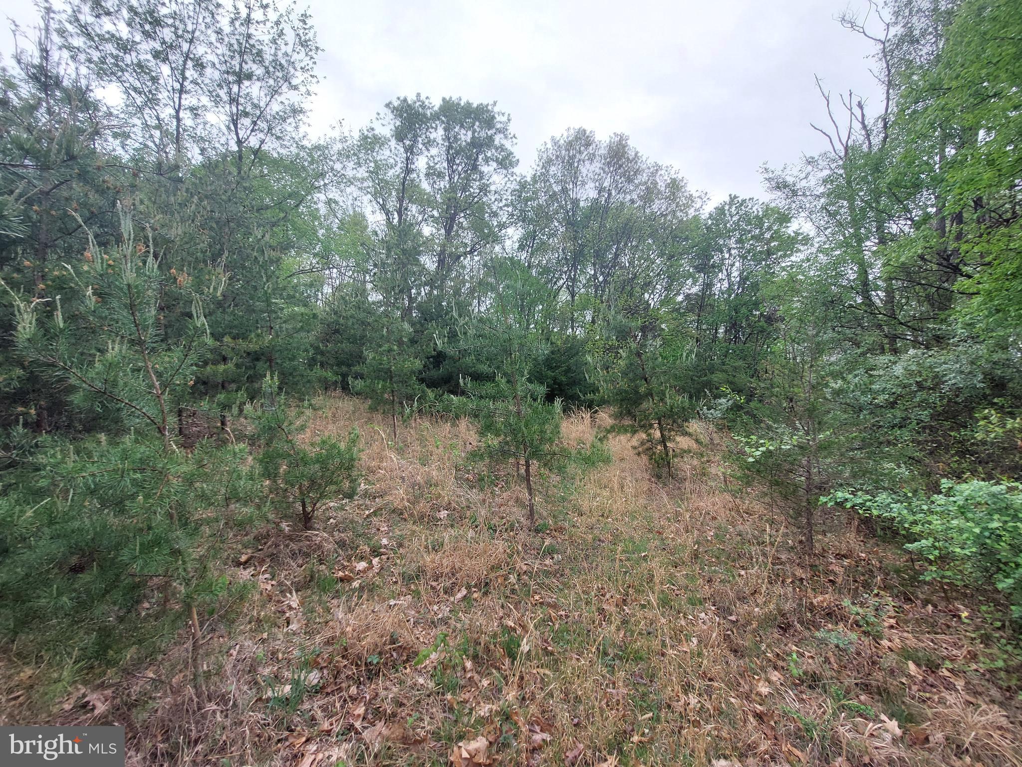 NORTH RIVER HIGHLANDS - Land