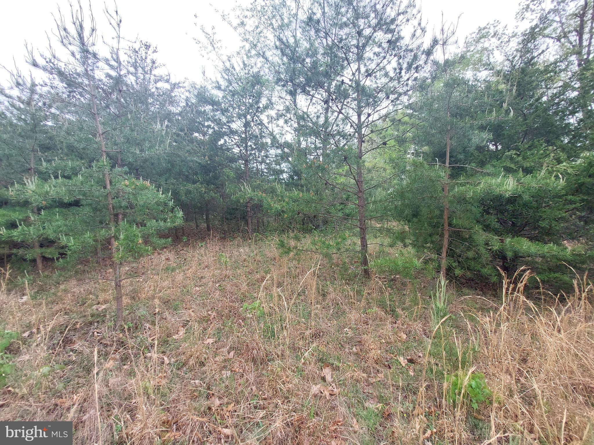 NORTH RIVER HIGHLANDS - Land