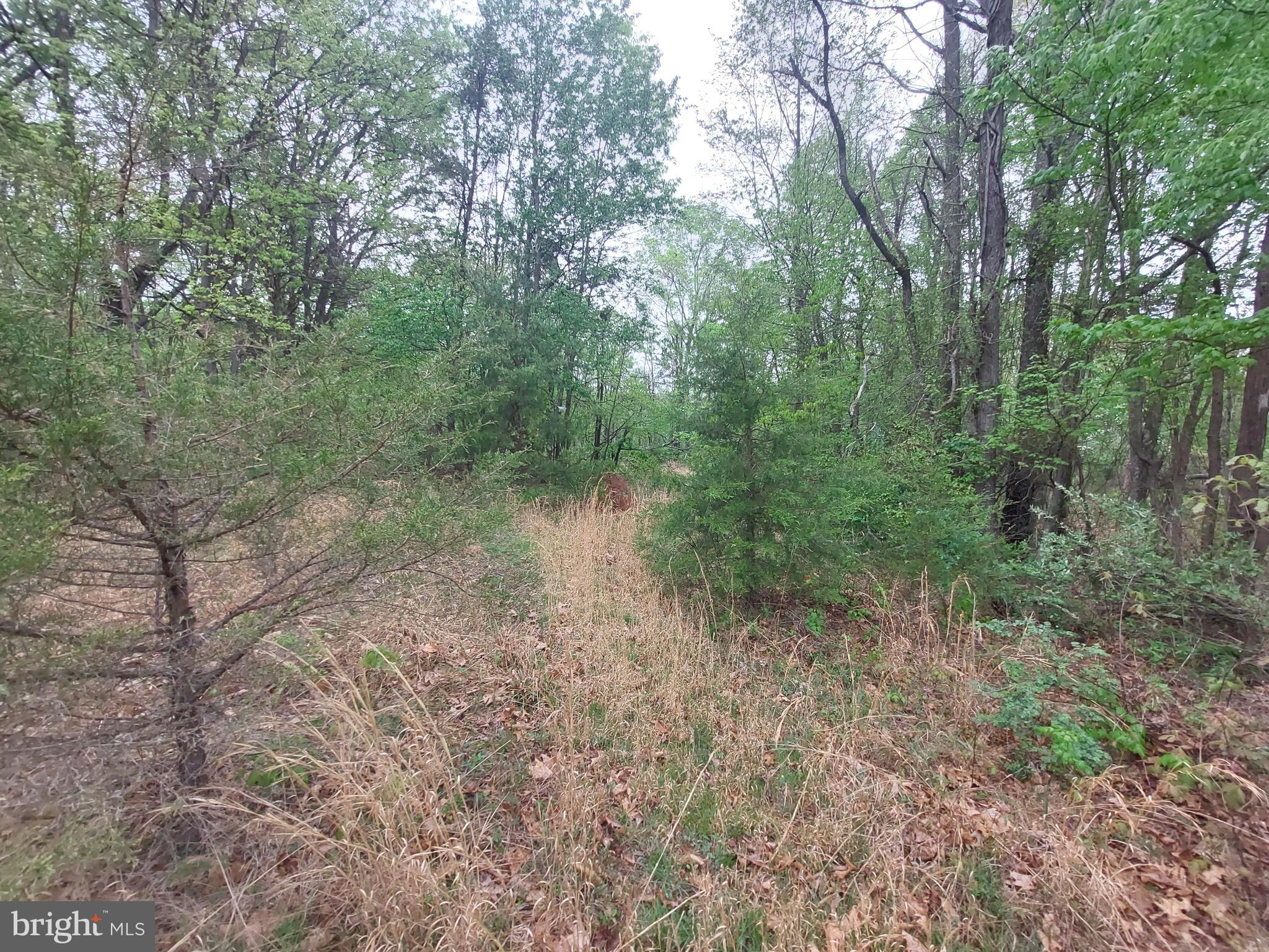 NORTH RIVER HIGHLANDS - Land