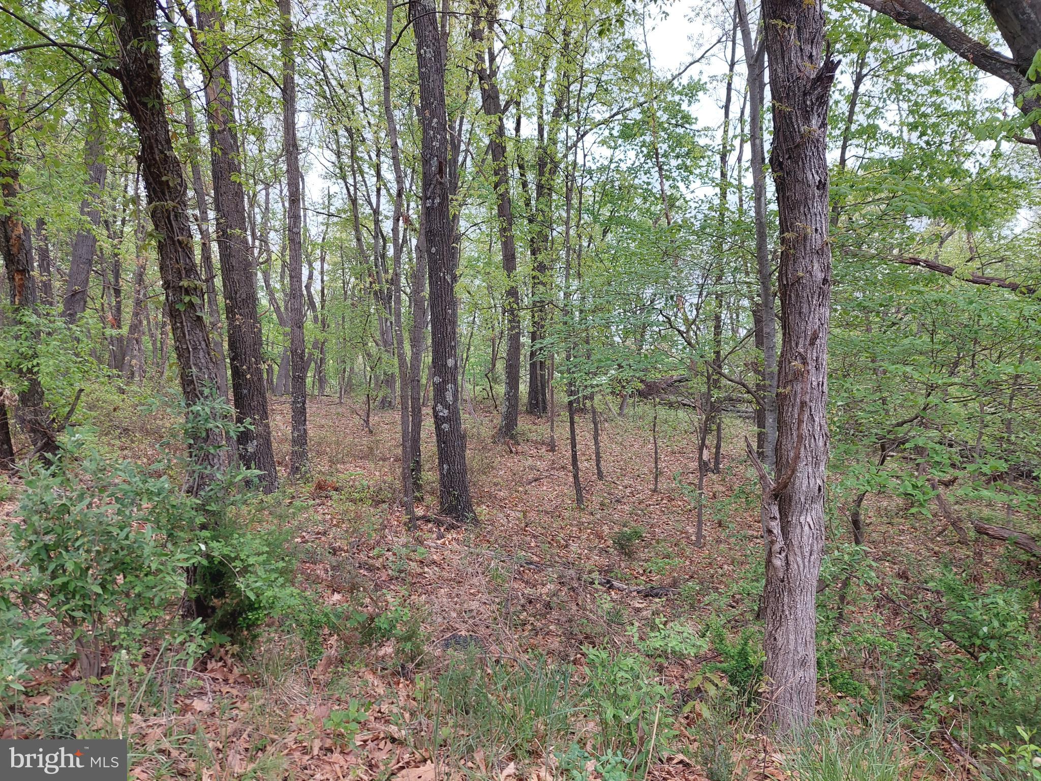 NORTH RIVER HIGHLANDS - Land