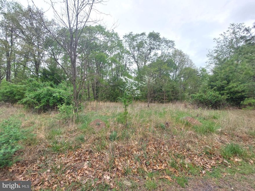 Check out this great opportunity for an affordable mountain home lifestyle! This is a 2-acre lot with private access to 7,000+ acres of wooded wilderness for hunting.  Camp here or make this your everyday living paradise.  This lot is certainly a rare find, easy restrictions mean you will have more freedom to do what you want with the land.  Building a cabin or using it as a weekend getaway for recreational activities are both great options!  If you possess the skills, knowledge, and fortitude to take it to the mountains then this lot is an affordable solution to leaving the city behind!